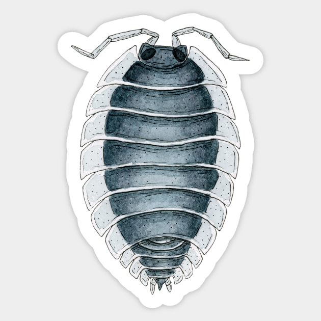 Porcellio werneri Isopod Sticker by paintedpansy